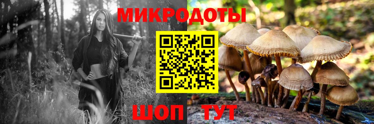 Грязи  Галлюциногенные грибы GOLDEN TEACHER  Вход с VPN 
